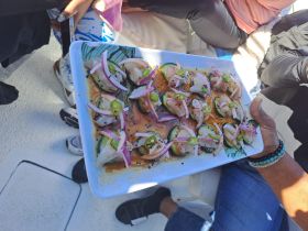 A beautifully arranged platter of fresh ceviche served on board, perfect for enjoying delicious snacks while cruising on the water.