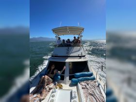 A lively group enjoys a sunny day on the water aboard a boat, with one guest relaxing on the deck — perfect for family outings or fun adventures.