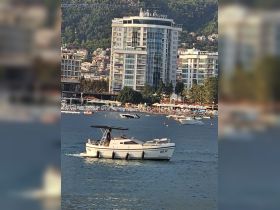 A sleek speedboat named 'BD 51' glides through the water, showcasing its elegant design against a backdrop of coastal buildings and lush greenery.