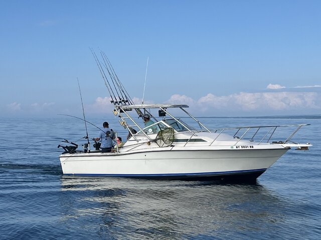 Listing image 1073778