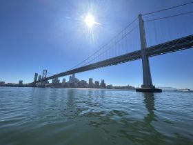 A stunning view of the Bay Bridge against a clear blue sky, showcasing the vibrant city skyline and shimmering waters — perfect for capturing the essence of a day on the water.