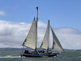 A beautiful sailboat navigates the waters with a crew on board, showcasing the thrill of sailing adventures on the open sea.