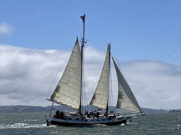 Tall Ship Sailing On A Gold Rush Era Yacht