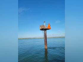 An unclear image of a navigational marker with a nest on top, surrounded by calm waters under a clear sky.