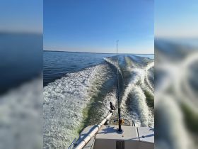 A scenic view from a fishing boat cruising on calm waters, showcasing the tranquil beauty of a day on the water.