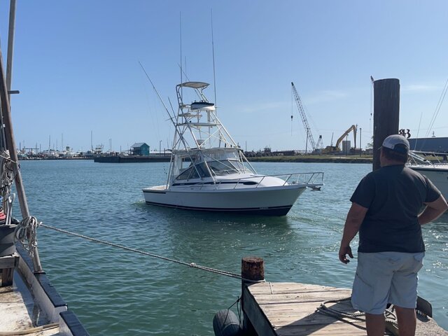 Listing image 1075695
