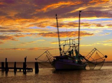 SaltyFrog Charters
