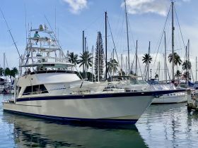 A stunning yacht docked at the marina, showcasing its sleek design and surrounding palm trees — perfect for luxury boating experiences.