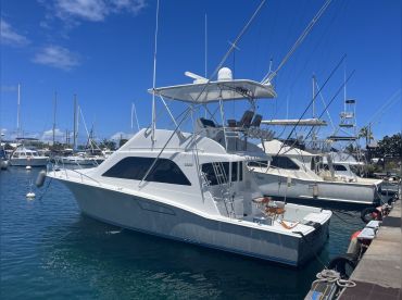 Reel Escapes Hawaii