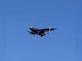 An image of a U.S. Navy aircraft flying in a clear blue sky, showcasing the impressive design and colors of the plane.