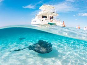 A stunning underwater shot captures a stingray gliding through crystal-clear waters, with a boat and guests enjoying the sun in the background — a perfect example of marine wildlife encounters.