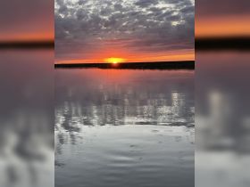 A stunning sunset casts vibrant colors over calm waters, creating a picturesque reflection — an ideal scene for nature lovers and photographers.