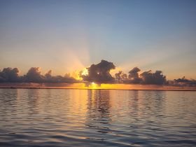 A breathtaking sunset casts golden rays over calm waters, creating a serene and picturesque scene perfect for romantic evenings or peaceful boat trips.