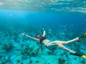 A snorkeler explores the vibrant underwater world, showcasing the beauty of marine life and clear turquoise waters — an unforgettable snorkeling adventure.