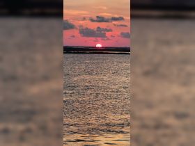 A stunning sunset over tranquil waters, creating a picturesque backdrop perfect for evening boat cruises.