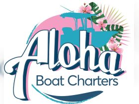 Logo design for Aloha Boat Charters featuring a boat silhouette and tropical elements, ideal for branding and promotional materials.