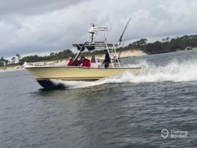 A speedboat navigates through the water with passengers onboard, showcasing an exciting fishing adventure in a scenic setting.