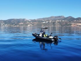 A sleek speedboat glides across calm waters, showcasing the stunning mountainous backdrop — perfect for exploring coastal destinations.