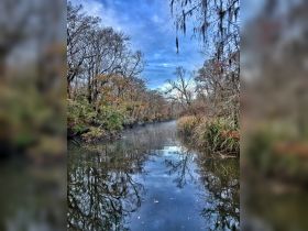 A serene view of a winding river surrounded by autumn foliage, reflecting the tranquil sky — perfect for nature lovers and scenic boat tours.