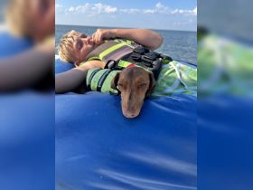 A young boy relaxes on a floating mat with a dog, enjoying a sunny day on the water — a perfect moment of companionship and fun.