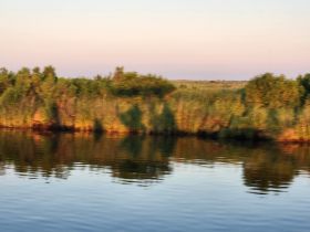 A blurry image of marshland reflecting in the water, lacking clarity and detail.