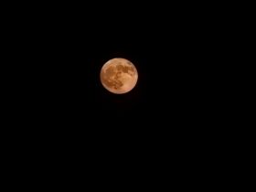 A close-up view of the moon against a dark sky, showcasing its detailed surface features. Ideal for astronomy enthusiasts and night sky photography.
