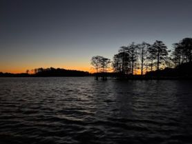 A serene sunset over the water, framed by silhouetted trees, creating a picturesque scene perfect for evening boat trips.