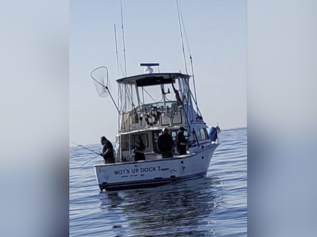 Listing image 1104875