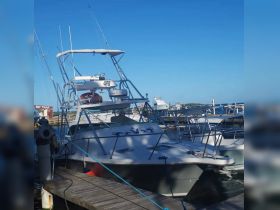A sleek yacht docked at the marina, showcasing its impressive structure against a clear blue sky — perfect for fishing or leisure outings.