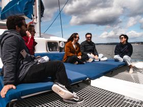 A group of friends enjoys a sunny day aboard a catamaran, sharing laughs and creating memories on the water.