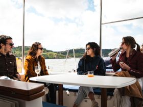 A lively group enjoys drinks and laughter aboard a boat, capturing the essence of a fun day on the water with friends.