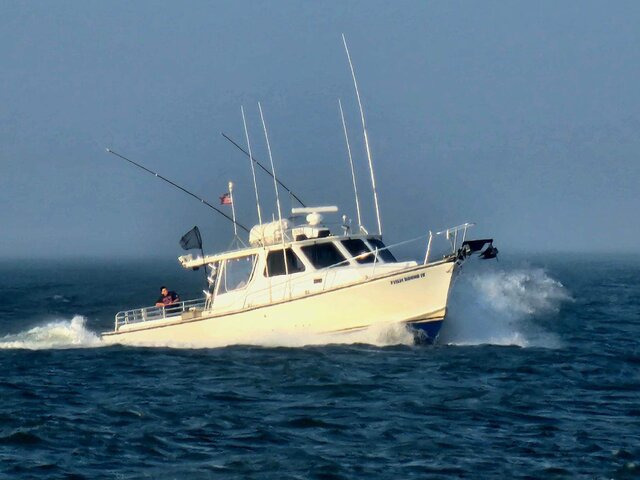 Listing image 1075437