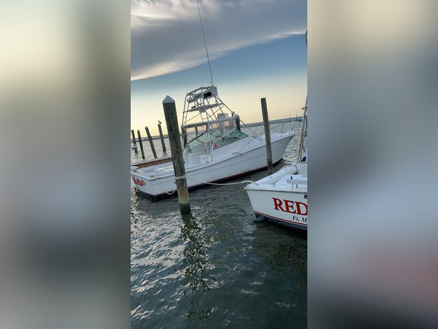 Listing image 1075446