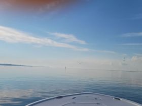 A serene view from the front of a boat cruising on calm waters, showcasing a clear blue sky and distant shoreline — perfect for peaceful outings on the water.