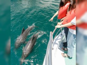 Two women on a boat interact with dolphins swimming nearby, creating an unforgettable wildlife experience in crystal-clear waters.