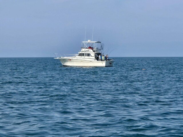 Listing image 1075790