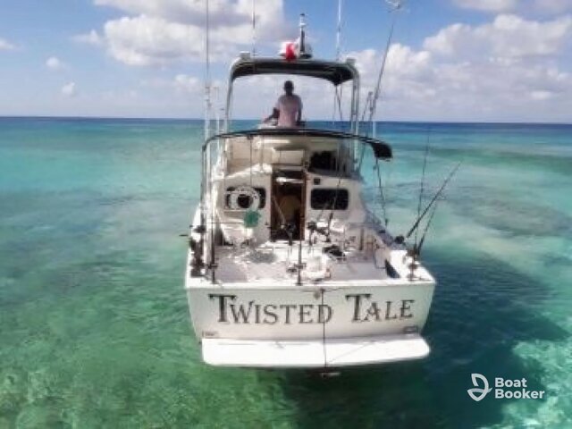 Listing image 1076398