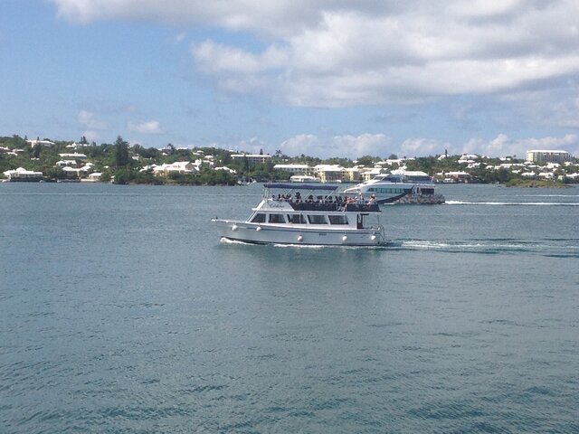 Listing image 1075956