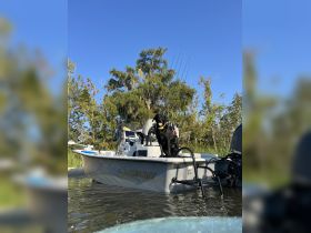 A Black Labrador sits proudly on the deck of a Blazer Bay boat, surrounded by lush greenery and calm waters, perfect for fishing adventures.