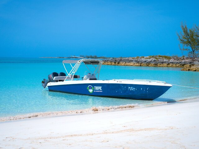 Listing image 1115407