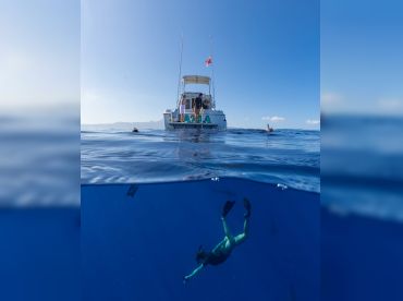 Go Adventure Hawaii