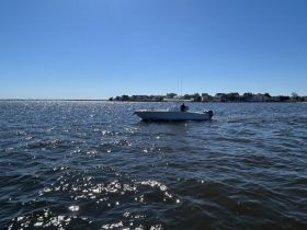 A sleek speedboat navigates through shimmering waters, showcasing a beautiful day on the water with a scenic backdrop of coastal homes.