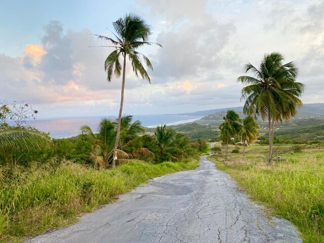 Listing image 1076729