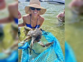A joyful woman holds a crab in a net while enjoying a sunny day in the water, showcasing a fun and interactive wildlife experience.