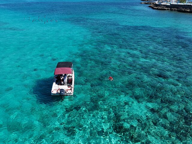 Listing image 1076386