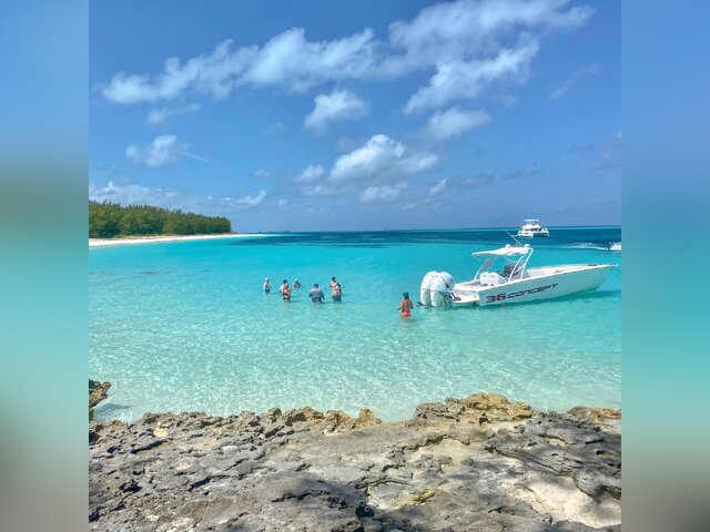 Listing image 1085963