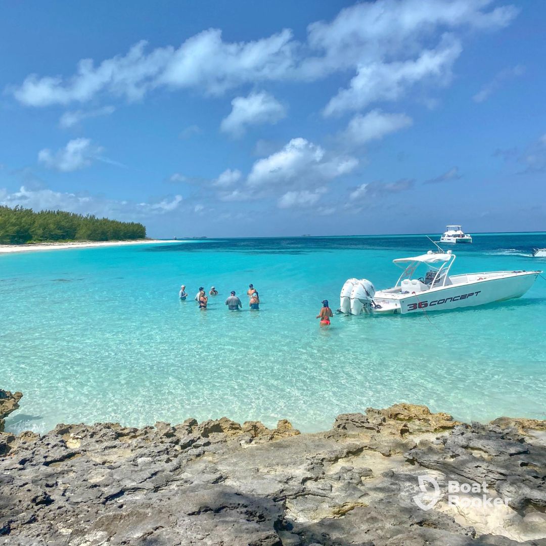 Bahamas Water Toys & Tours – 36 Concept