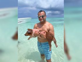 A man holds a pig while wading in shallow turquoise waters, showcasing a unique wildlife interaction in a tropical setting.