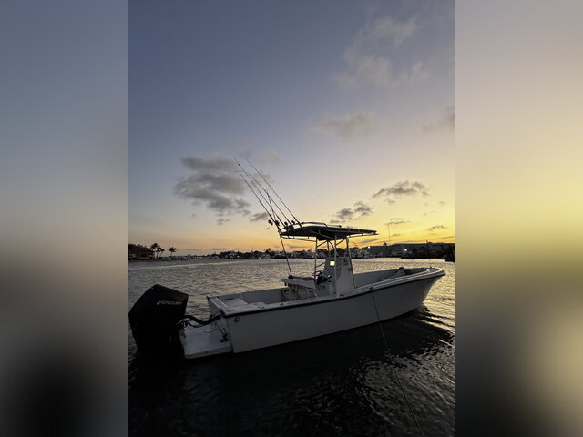 Listing image 1151817