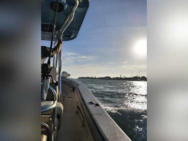 Listing image 1086291